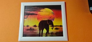 Cuadro Elefante Atardecer Africano