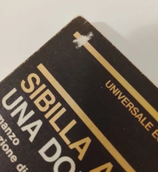 Sibilla Aleramo, Una Donna