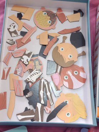 Juego Magnético Cuerpo Humano Apli Kids