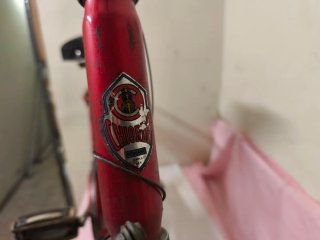 Bici CHIO RD SAFARI vintage anni '80