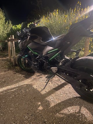 Kawasaki Z900 Performance 2024