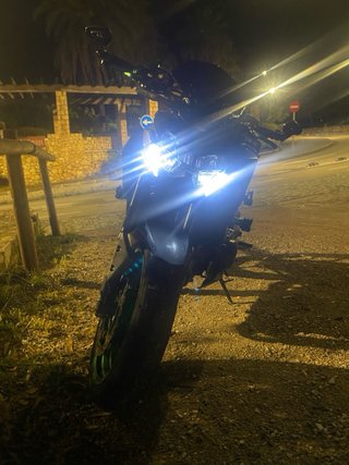 Kawasaki Z900 Performance 2024