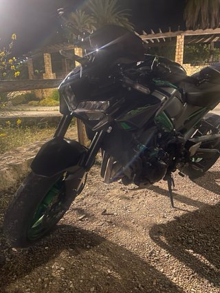 Kawasaki Z900 Performance 2024