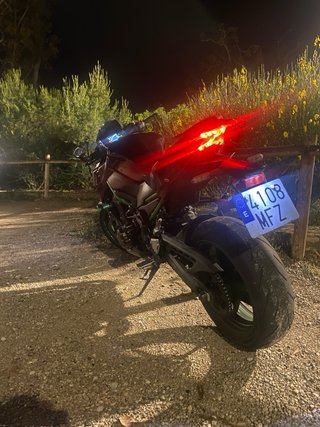 Kawasaki Z900 Performance 2024
