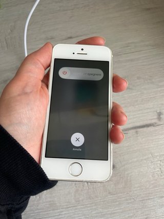 iPhone 5S Argento