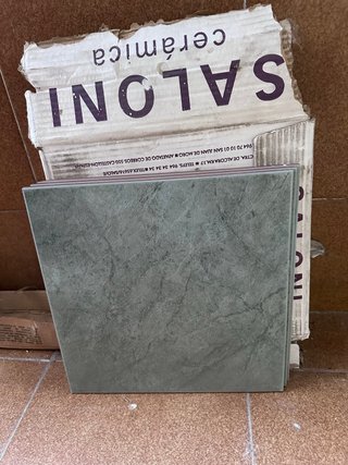 Lote de azulejos Saloni cerámica