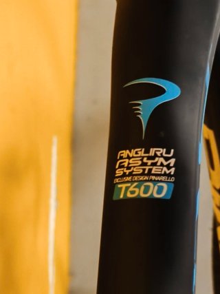Bicicleta de carretera Pinarello Angliru. Talla 57