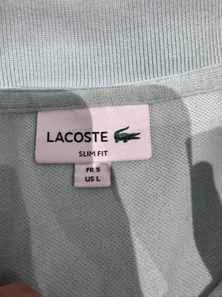 Conjunto Lacoste Polo y Shorts Verde