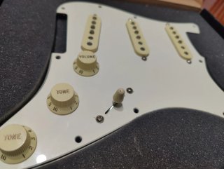 Golpeador  cargado Fender Tex Mex
