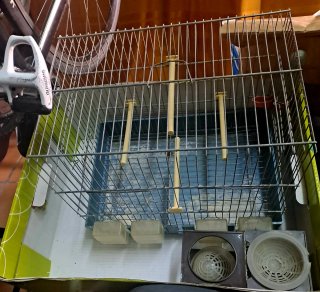 Jaula Grande para Pájaros con 2 Comederos
