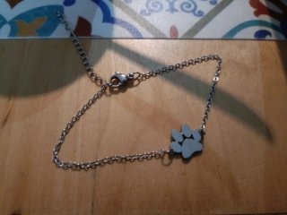 Pulsera mascota encontrada