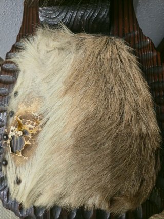 Sillas antiguas madera y pelo cabra (2 uds)