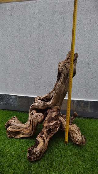 Madera VID natural decorativa acuario terrario