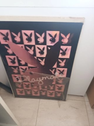 Poster playboy playmate 3D holograma nuevo