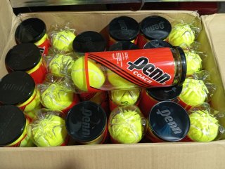 Bolas de Tenis Penn Coach (Cajón)