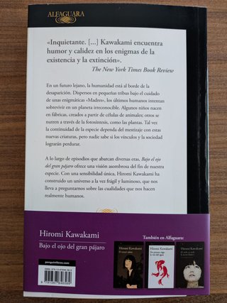 Bajo el ojo del gran pájaro