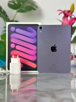 iPad Mini 256gb CON GARANZIA