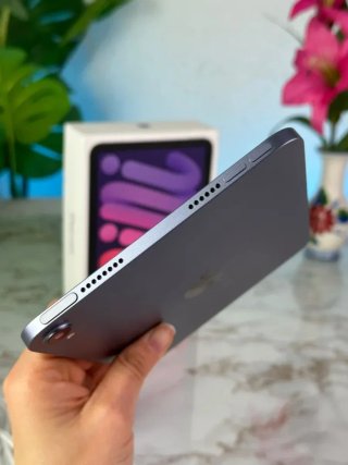 iPad Mini 256gb CON GARANZIA