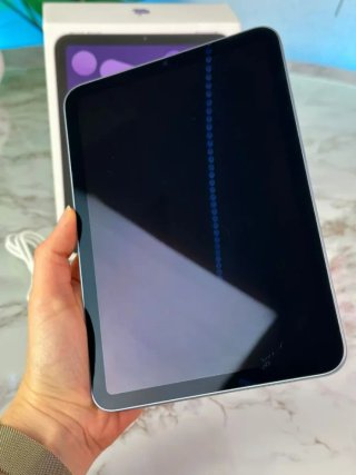 iPad Mini 256gb CON GARANZIA