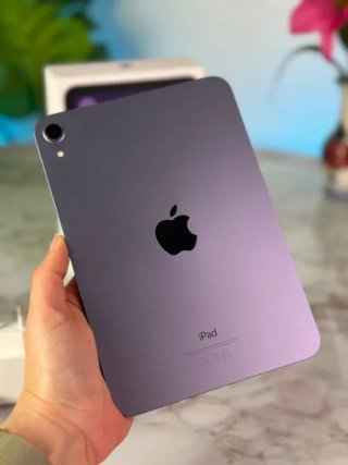 iPad Mini 256gb CON GARANZIA