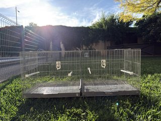 Jaulas de cría y voladeros