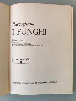 Raccogliamo I Funghi
