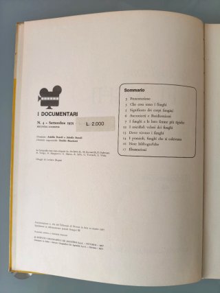 Raccogliamo I Funghi