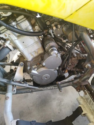Suzuki LTZ 400 Amarillo