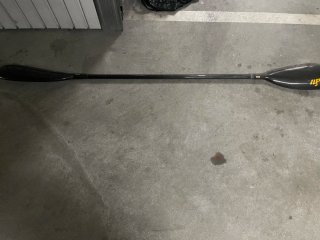 Pala Noruega de Carbono