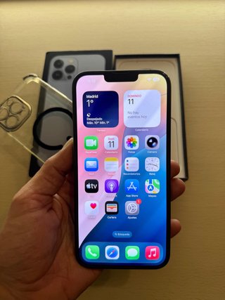 iPhone 13 Pro Max IMPOLUTO