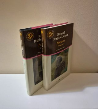 LOTE NOVELA CONTEMPORÁNEA