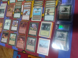 Baraja Magic The Gathering Survival
