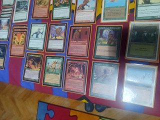 Baraja Magic The Gathering Survival
