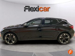 Cupra León SP 1.5 eTSI 110kW (150CV) DSG