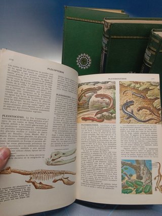 Enciclopedia de las CIENCIAS NATURALES – COMPLETA 4 TOMOS EDITORIAL BRUGUERA 1962