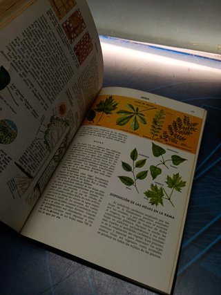 Enciclopedia de las CIENCIAS NATURALES – COMPLETA 4 TOMOS EDITORIAL BRUGUERA 1962