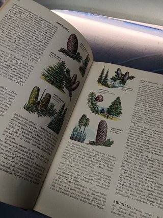 Enciclopedia de las CIENCIAS NATURALES – COMPLETA 4 TOMOS EDITORIAL BRUGUERA 1962