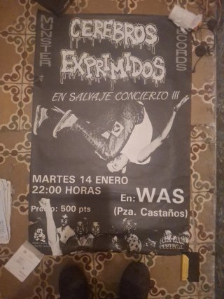 Cartel Concierto Cerebros Exprimidos Munster Recor