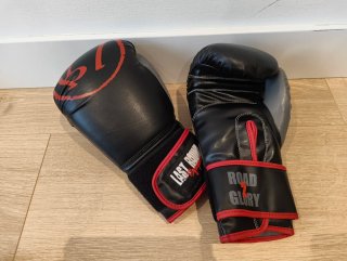 Guantes y espinilleras