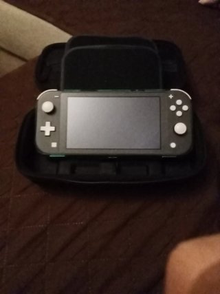 Nintendo Switch Lite Gris