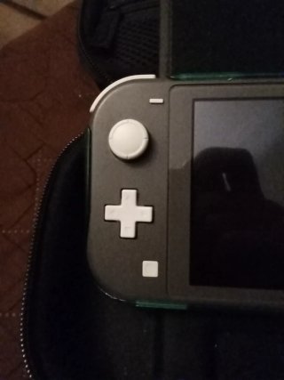 Nintendo Switch Lite Gris