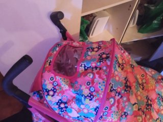 Cochecito de bebé rosa con bolso y cesta