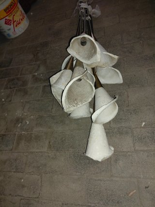 Lampadario Calla Angelo Lelii Arredoluce