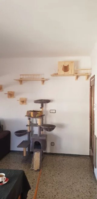 Escalera de madera para gato