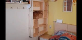Estantería para gatos de madera
