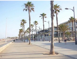 Apartamento verano patacona