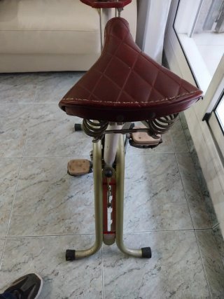 Bicicleta Estática Vintage Torrot
