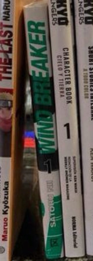Libro Windbreaker