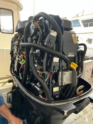 Motor fueraborda Mariner 50 EFI