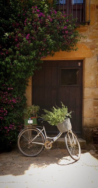Bicicletas de paseo plateada